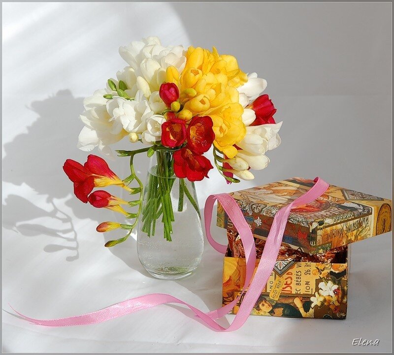 Flowers and gift box