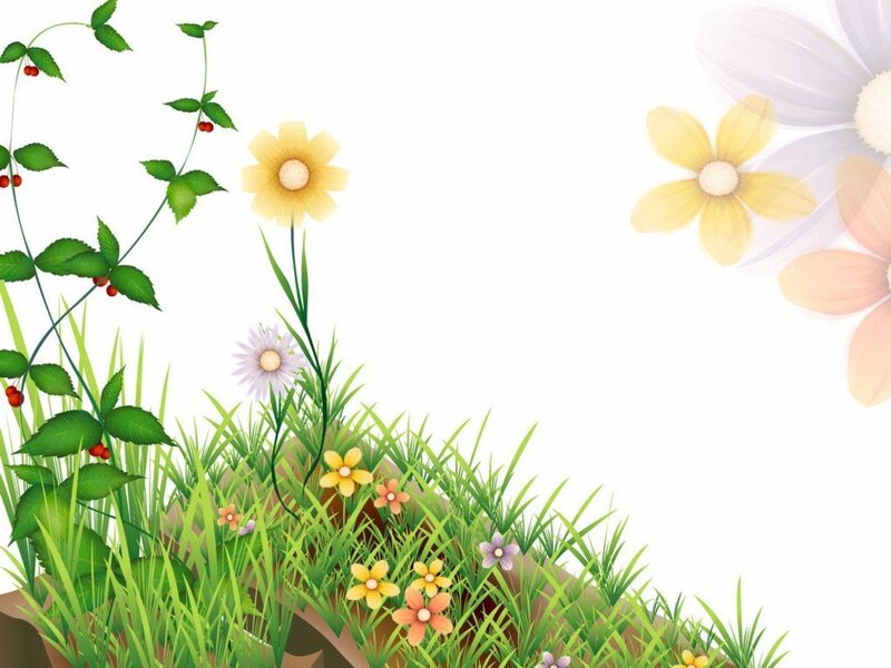 Flowers and Grass in a Garden