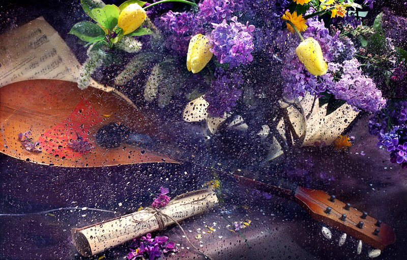 Flowers and Guitar under Rain