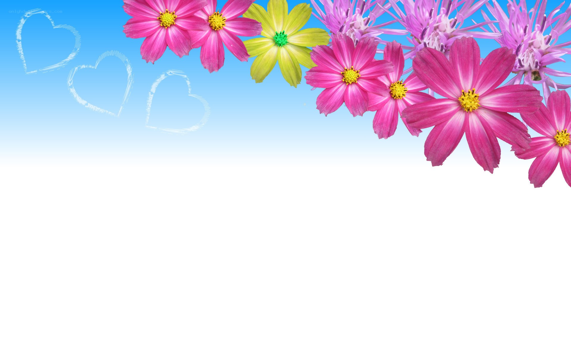 flowers and hearts background