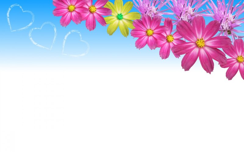 Flowers and Hearts — Pink