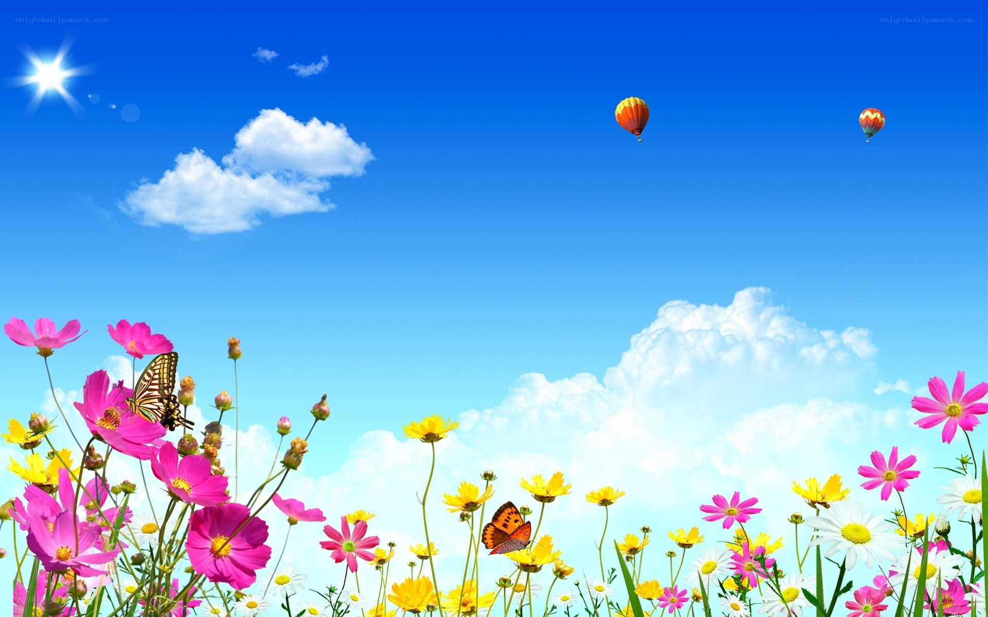 Flowers and hot air balloons