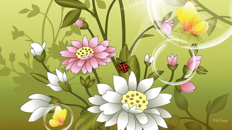 Flowers and Ladybug