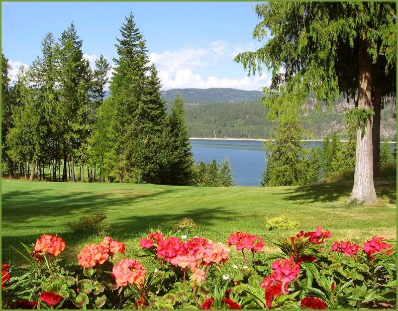 Flowers and Lake View — Green