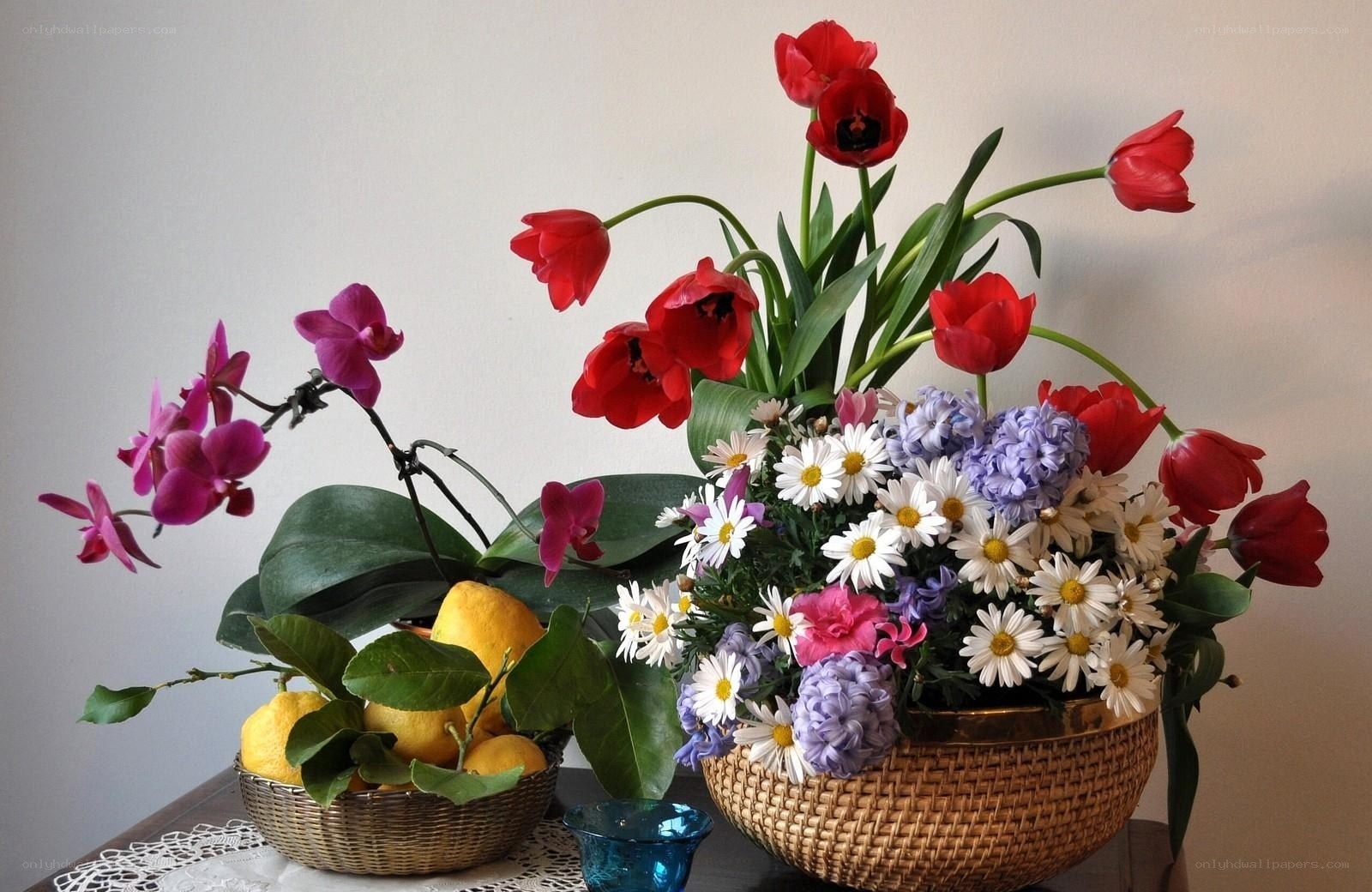 Flowers and lemons in baskets