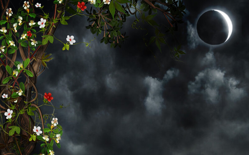 Flowers and Moon at Night