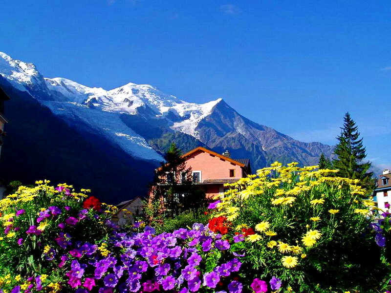 Flowers and Mountain — Blue