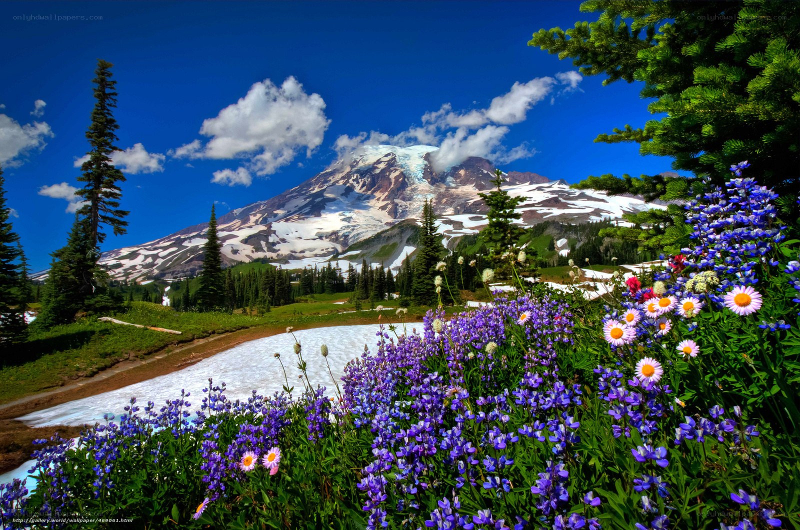 Flowers and mountain landscape