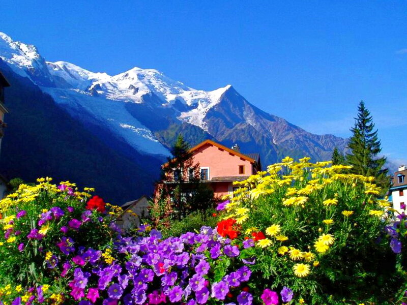 Flowers and Mountain
