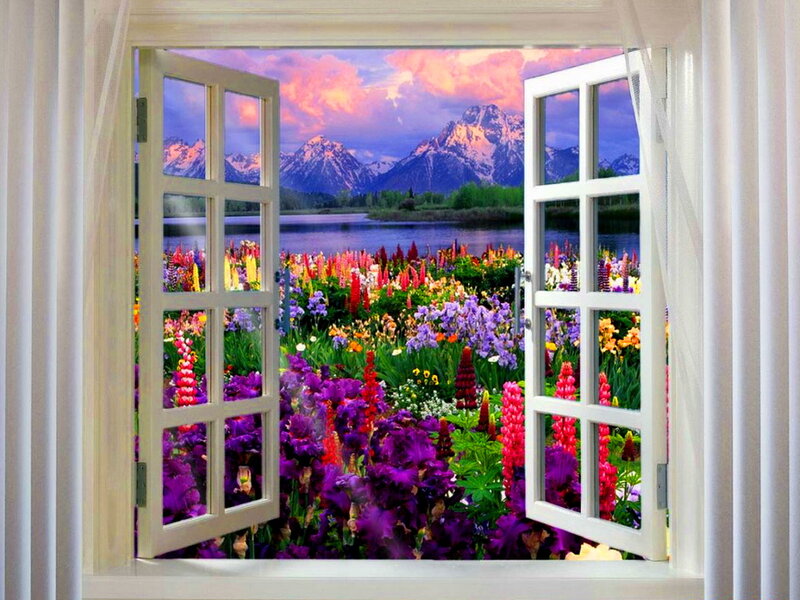 Flowers and Mountains