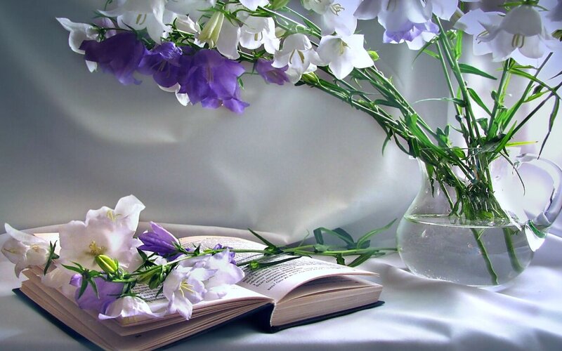 flowers and open book