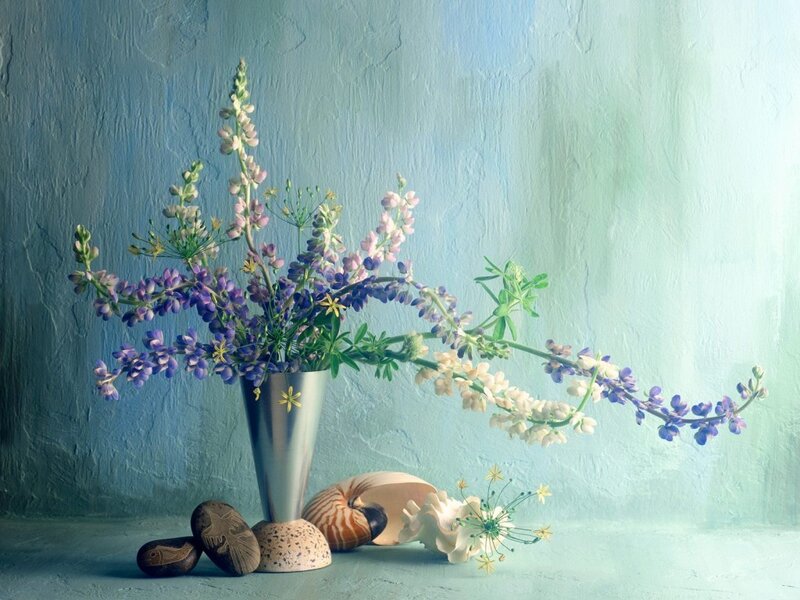 Flowers and seashells in a vase