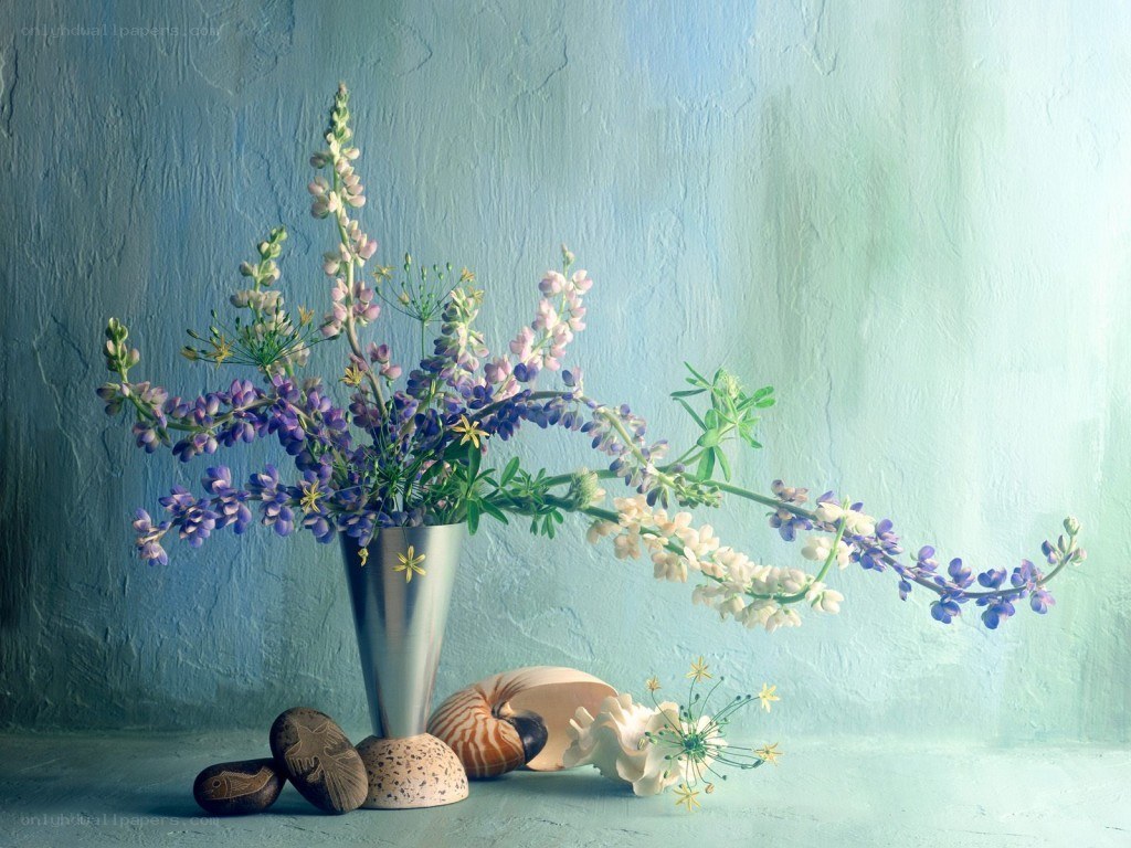 Flowers and seashells in a vase