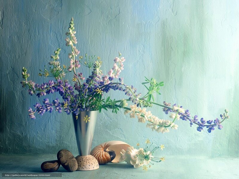 Flowers and seashells in a vase