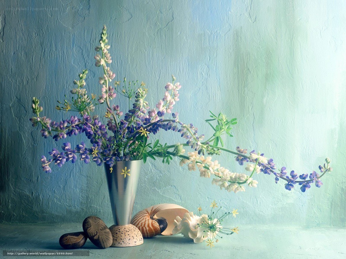 Flowers and seashells in a vase