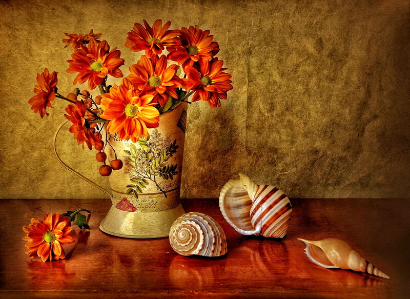 Flowers and Seashells