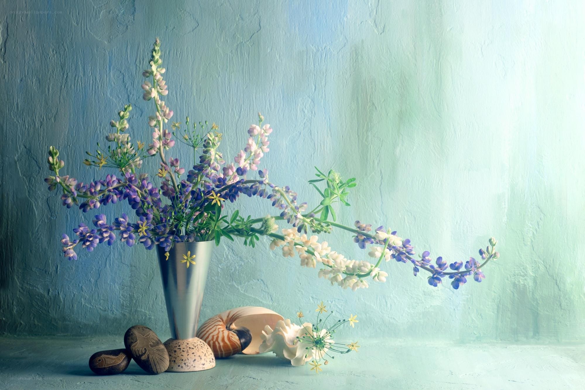 Flowers and shells in a vase