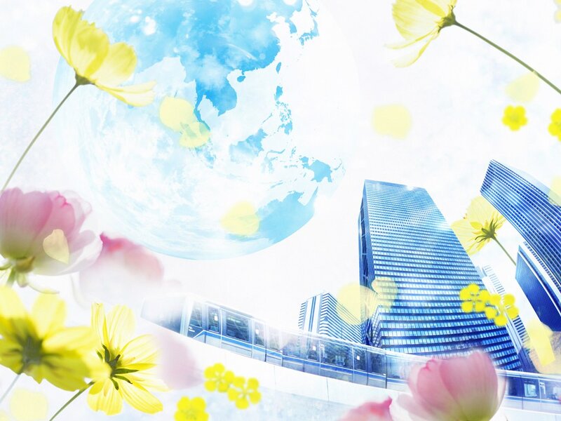 Flowers and Skyscrapers