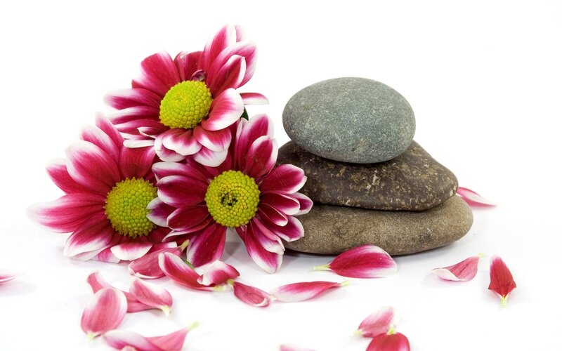 flowers and stones arrangement