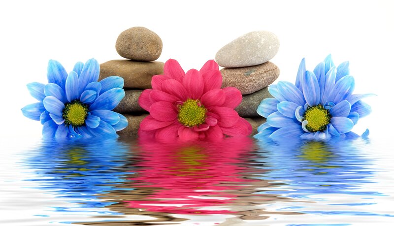 Flowers and Stones in Water — Blue