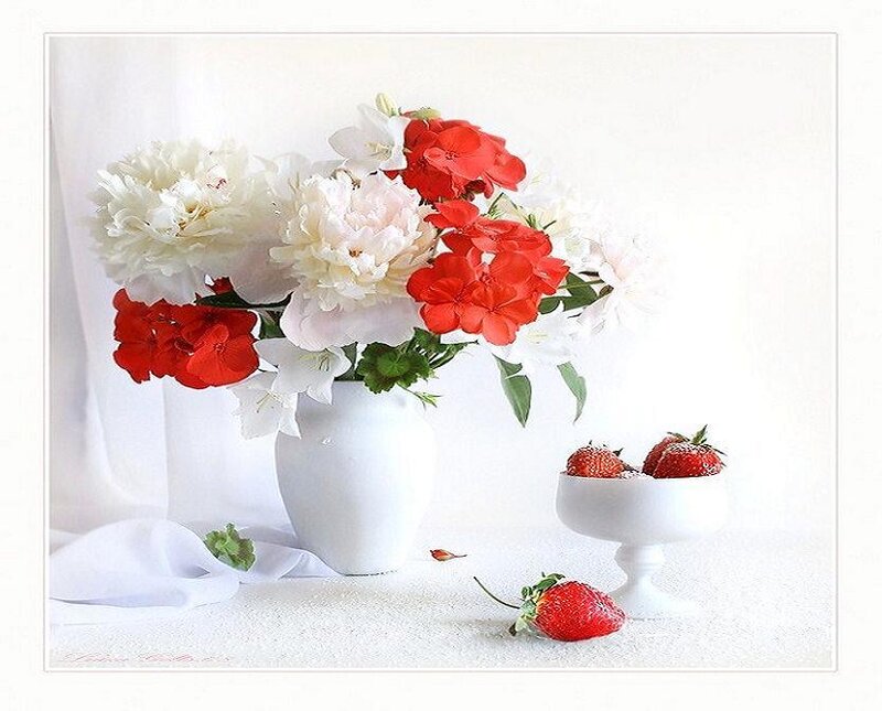 Flowers and strawberries still life