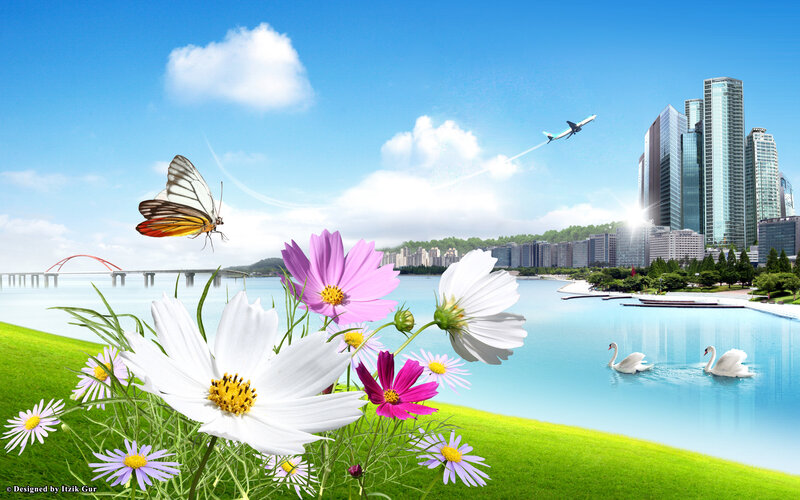 Flowers and Swans