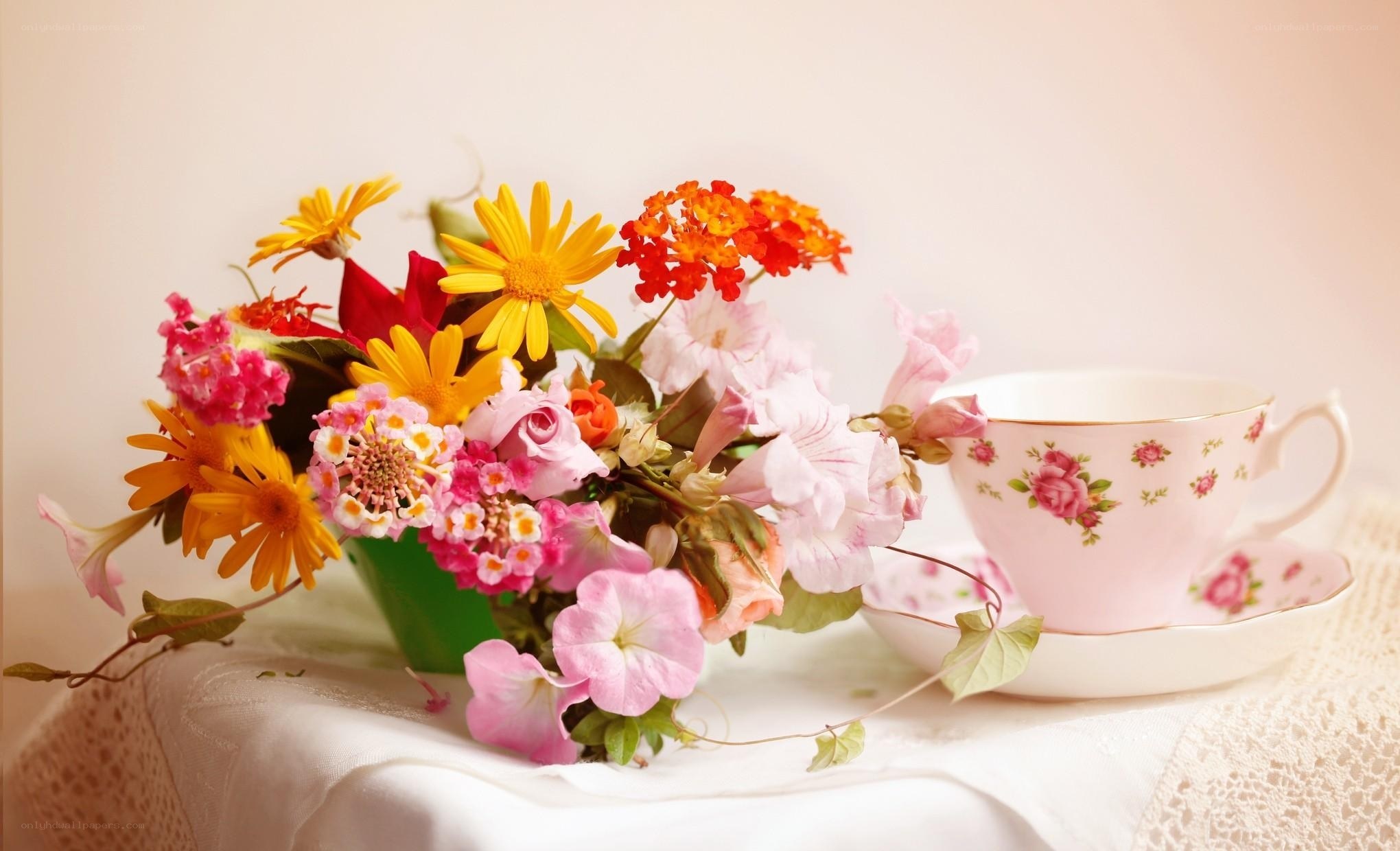 Flowers and tea cup