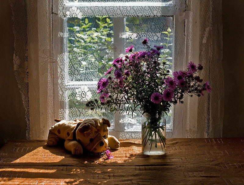 Flowers and toy on a windowsill
