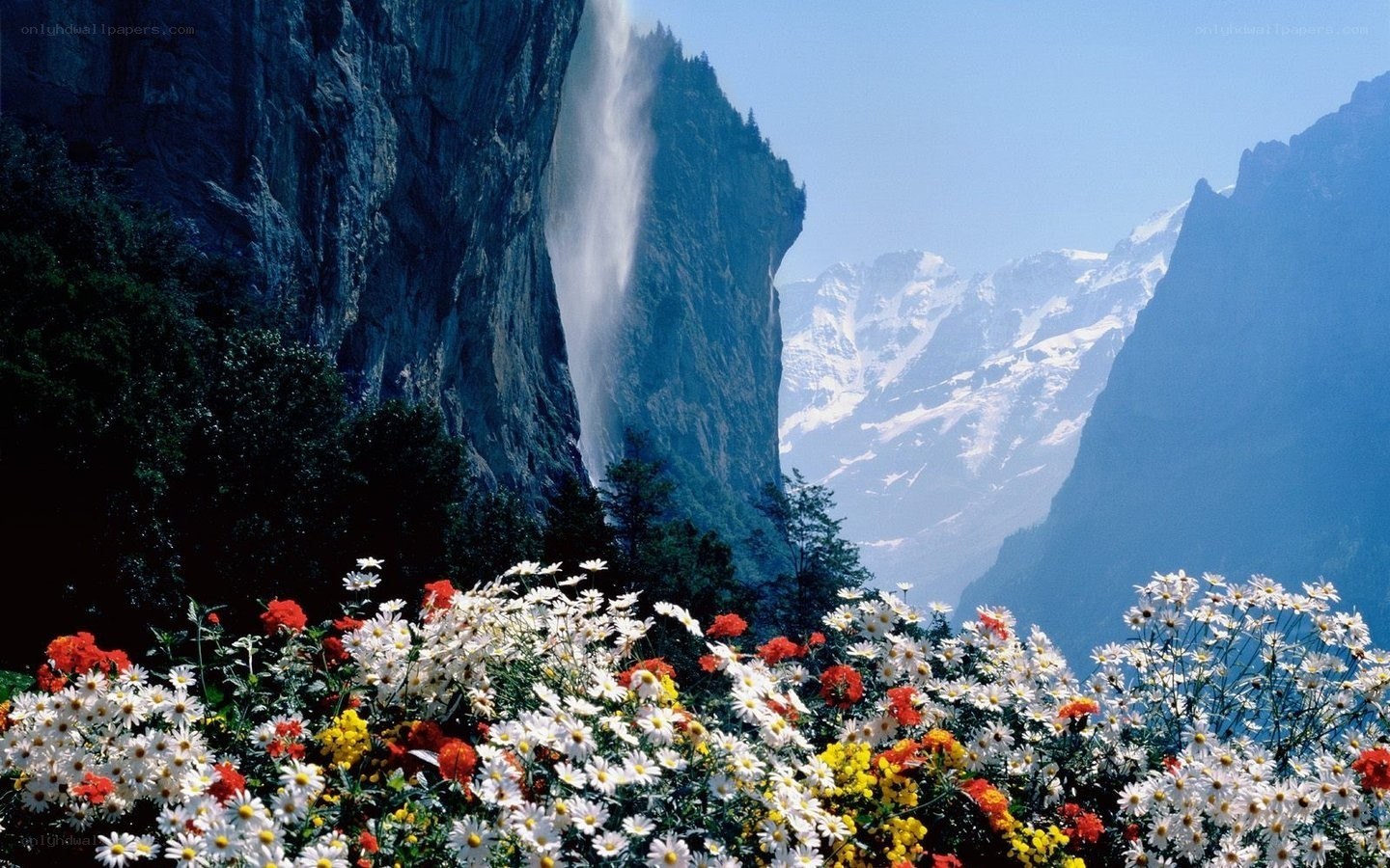 Flowers and waterfall in mountains