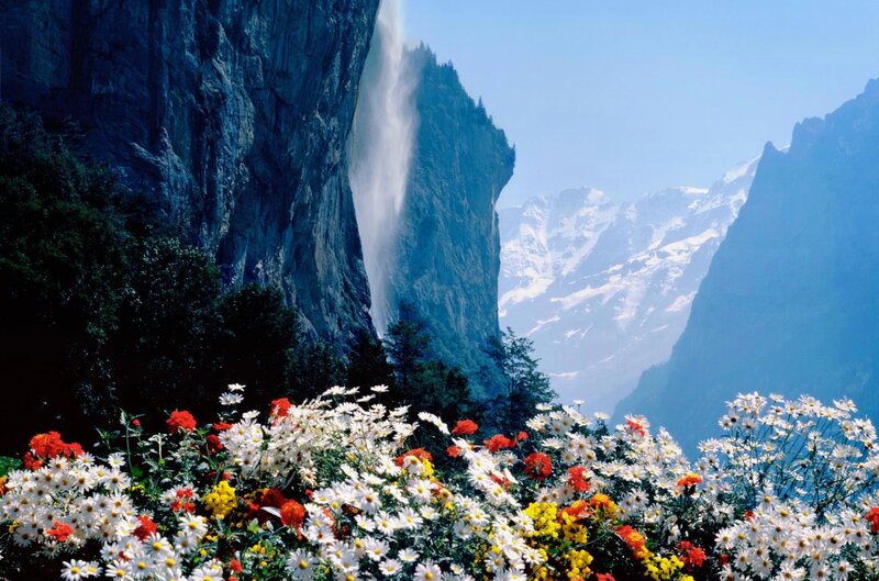 Flowers and Waterfall — White, Serene, Summer