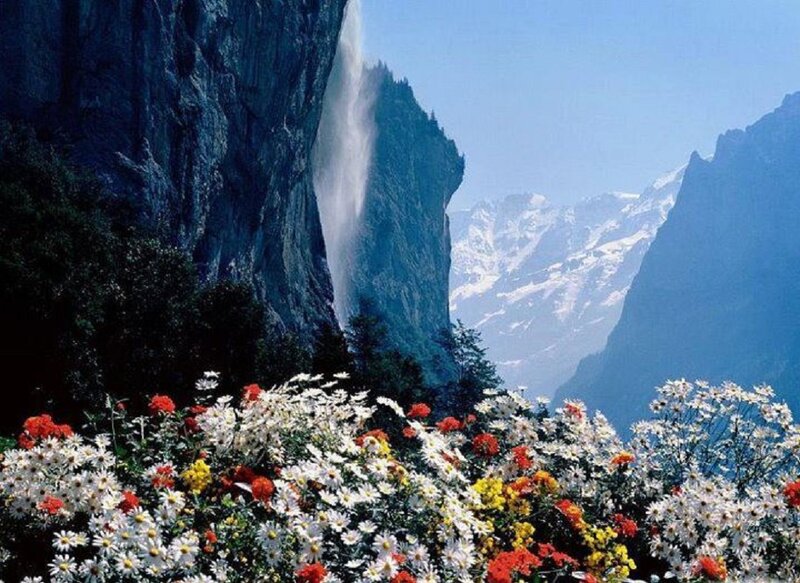 Flowers and Waterfall — White, Serene