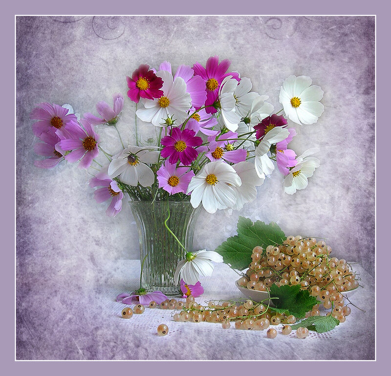Flowers and white currants