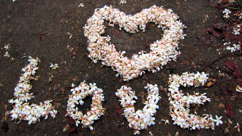 Flowers Arranged as Love