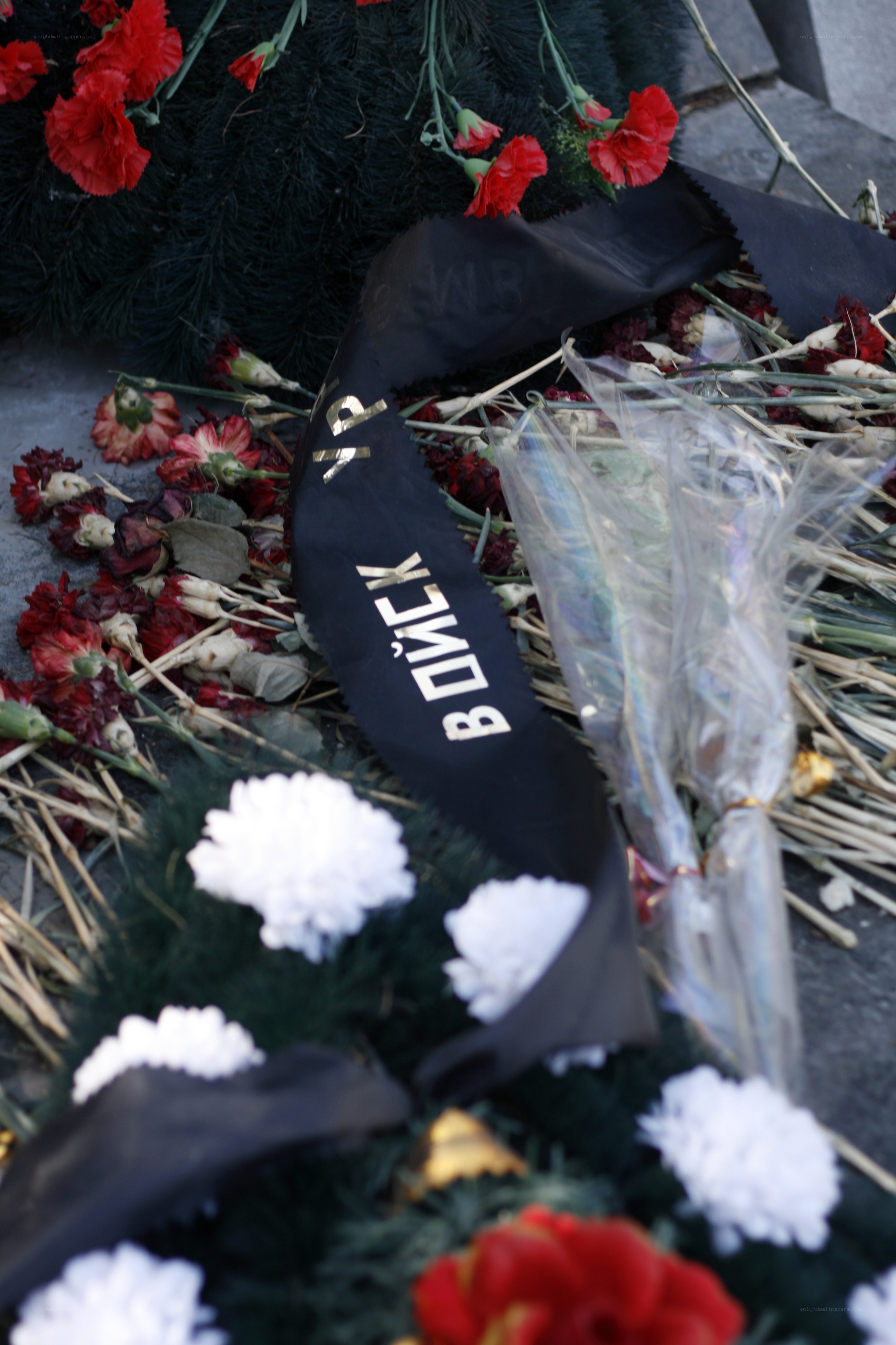 Flowers at a memorial site