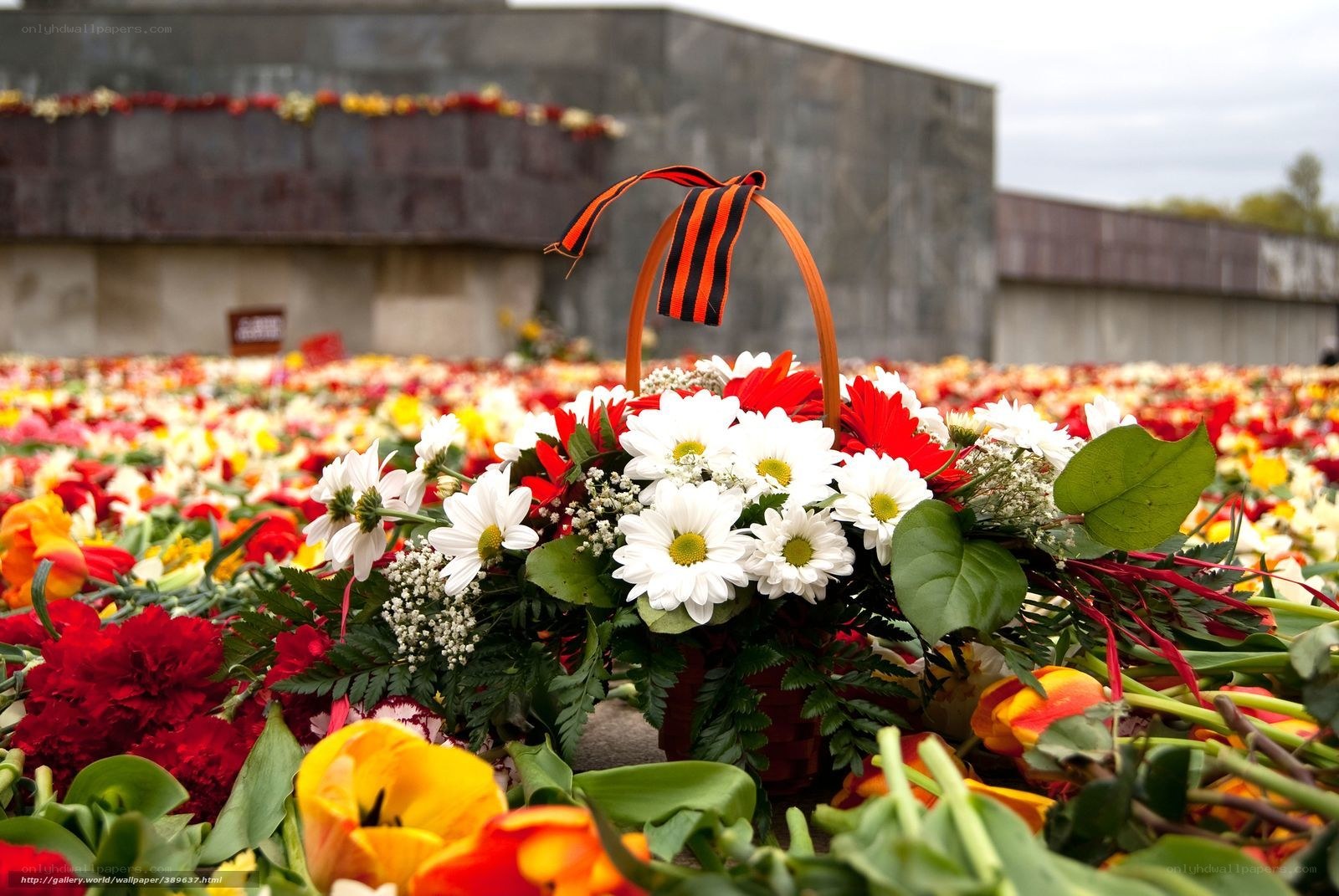 Flowers at a war memorial