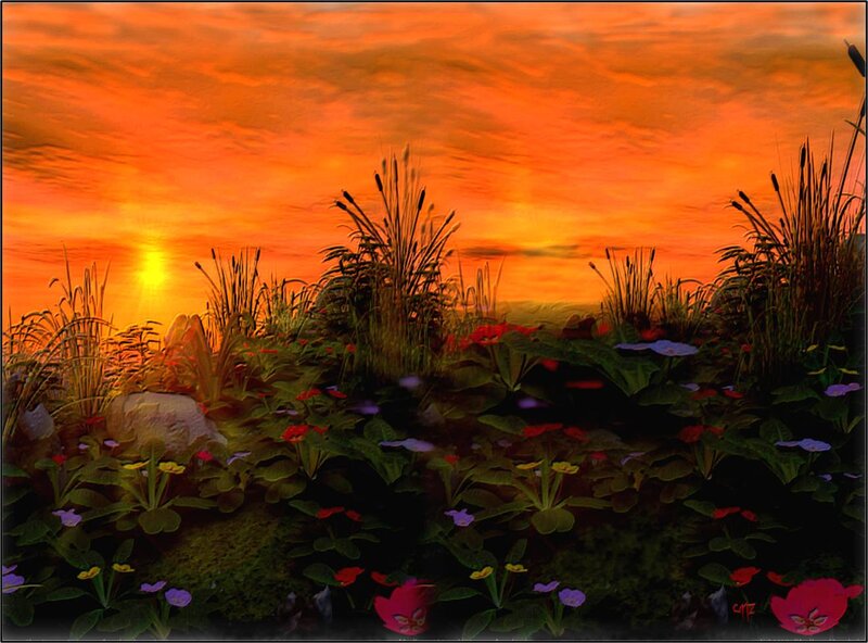 Flowers at Sunset — Orange, Dramatic