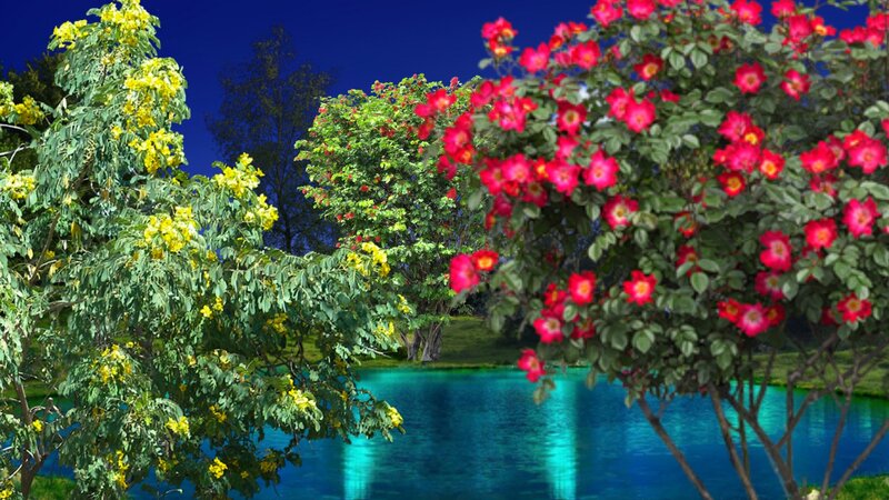 Flowers by a Lake — Blue