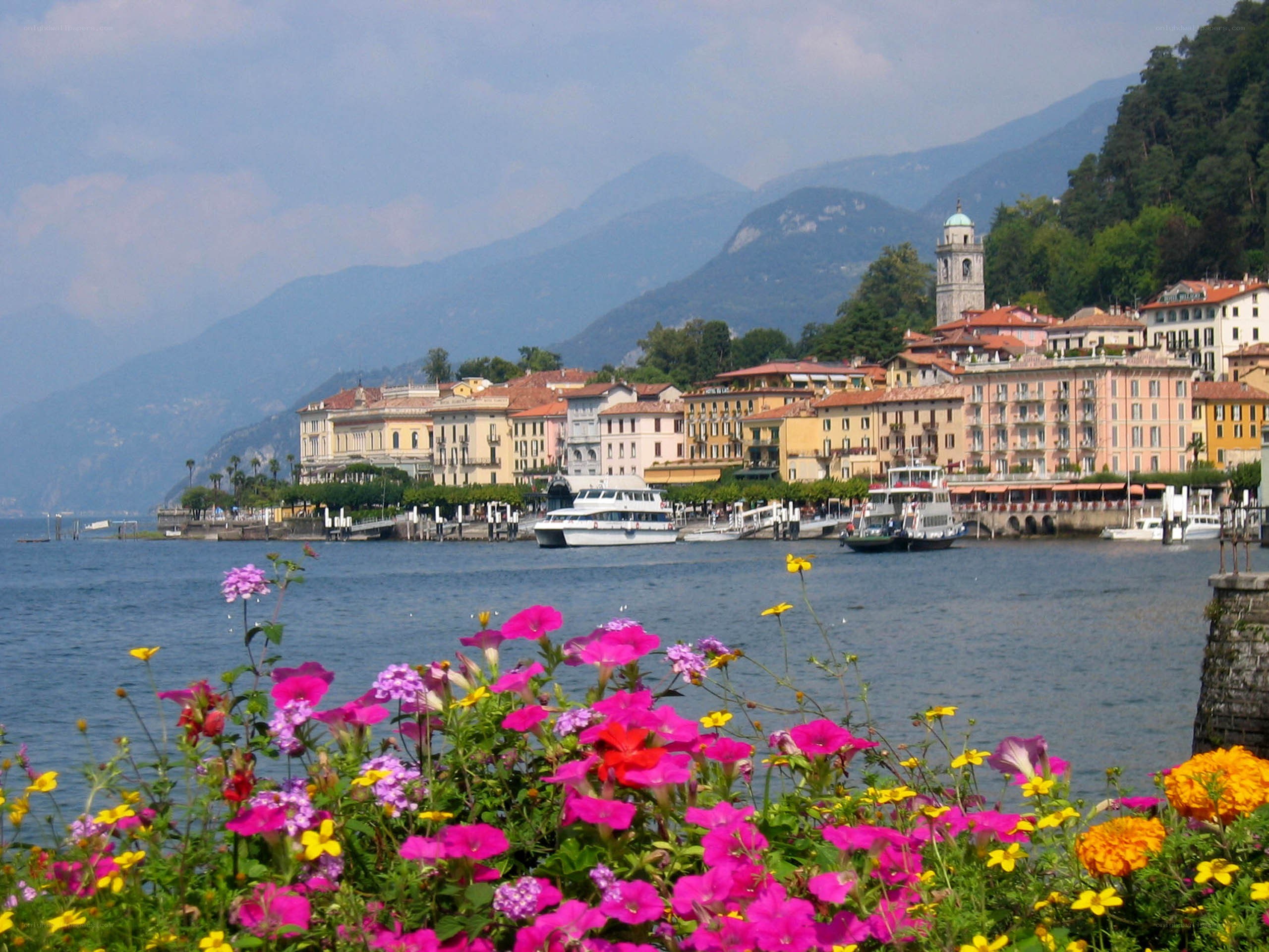 Flowers by a lakeside town