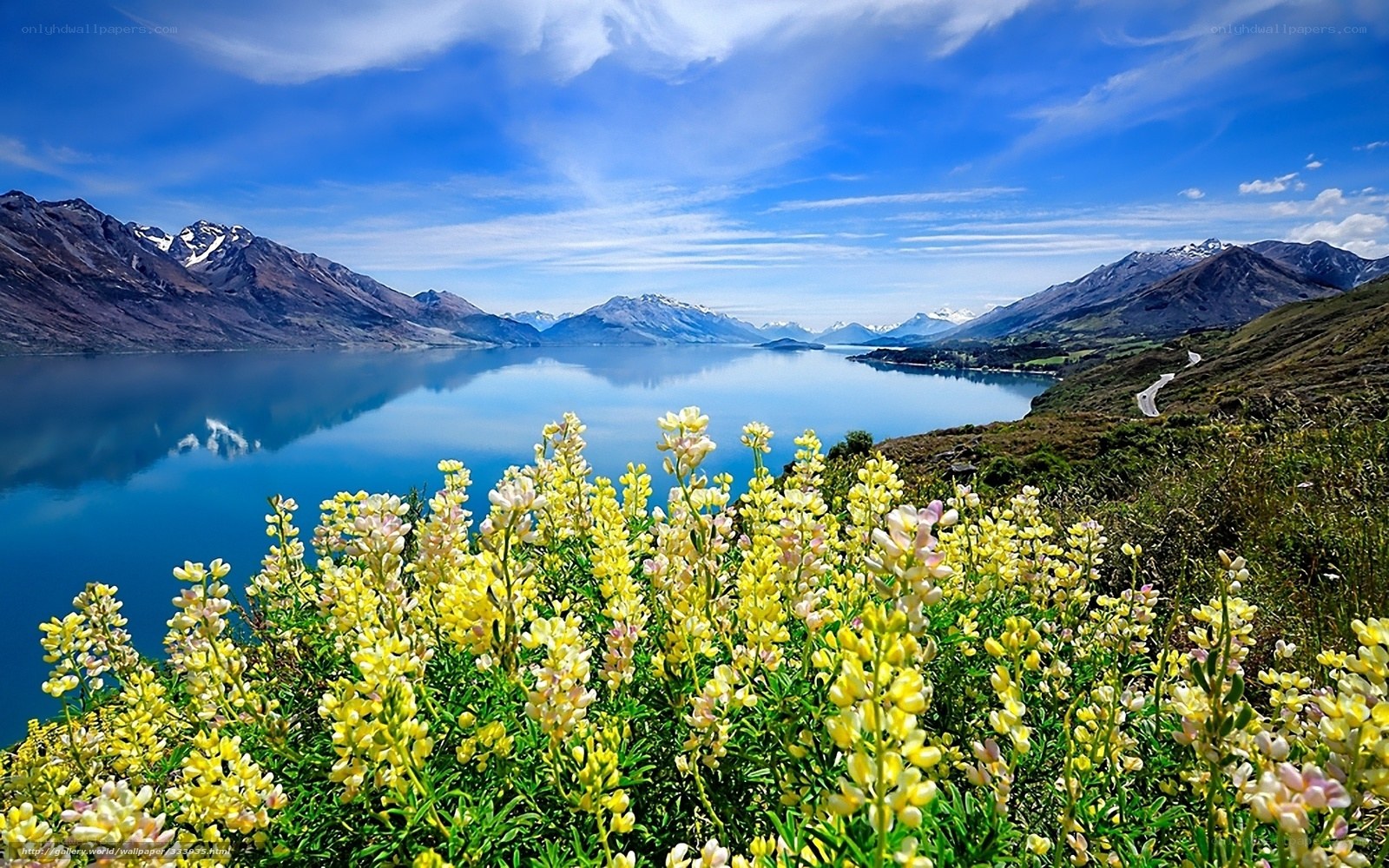 Flowers by a mountain lake
