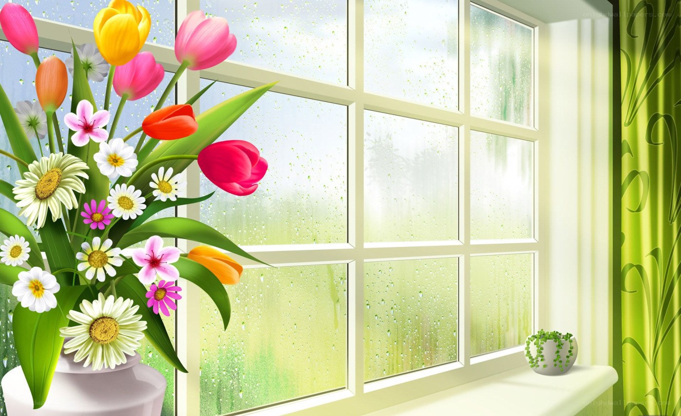 Flowers by a rainy window