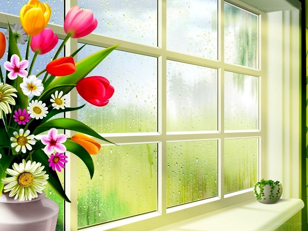flowers by a rainy window
