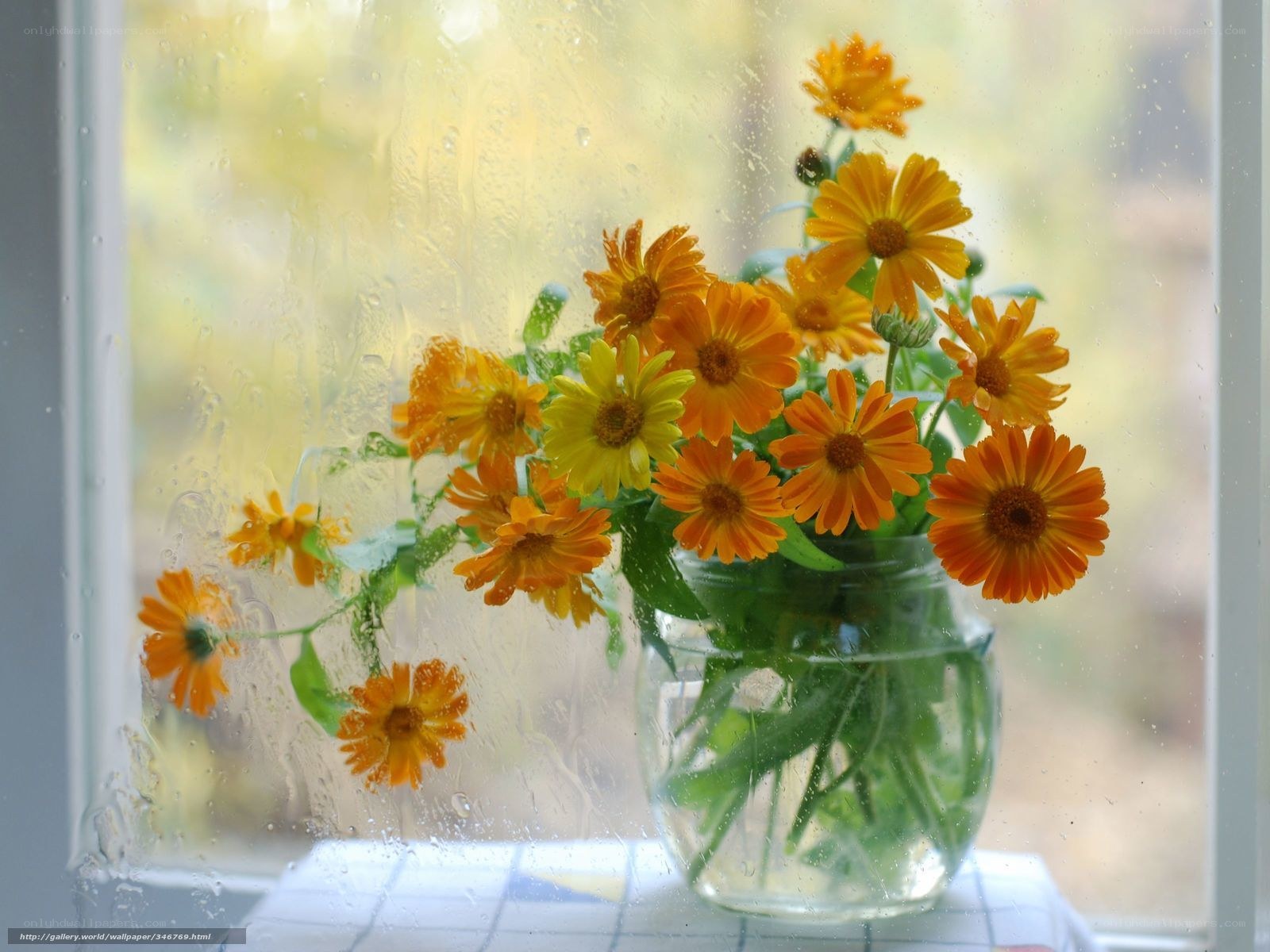 flowers by a rainy window
