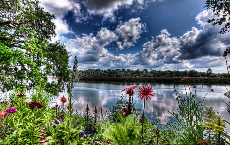 Flowers by a River — Blue
