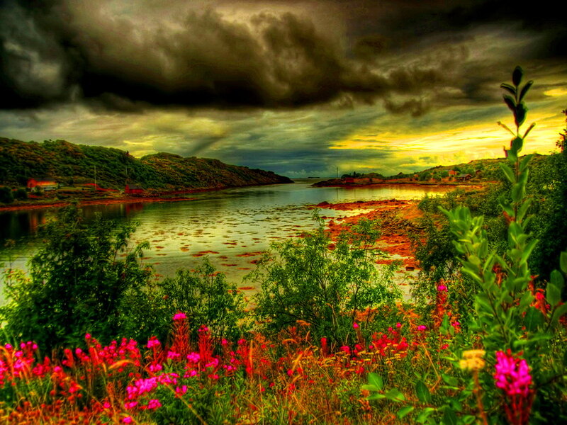 Flowers by a River — Green, Dramatic