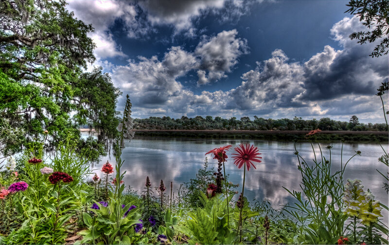 Flowers by a River — Green