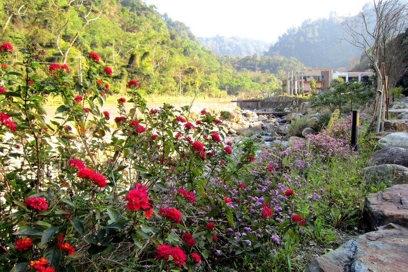 Flowers by a River — Red