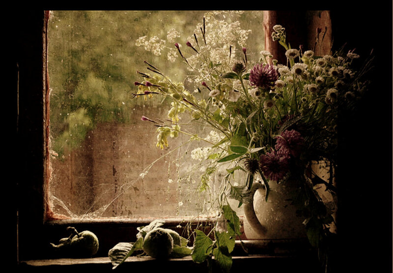 Flowers by a window