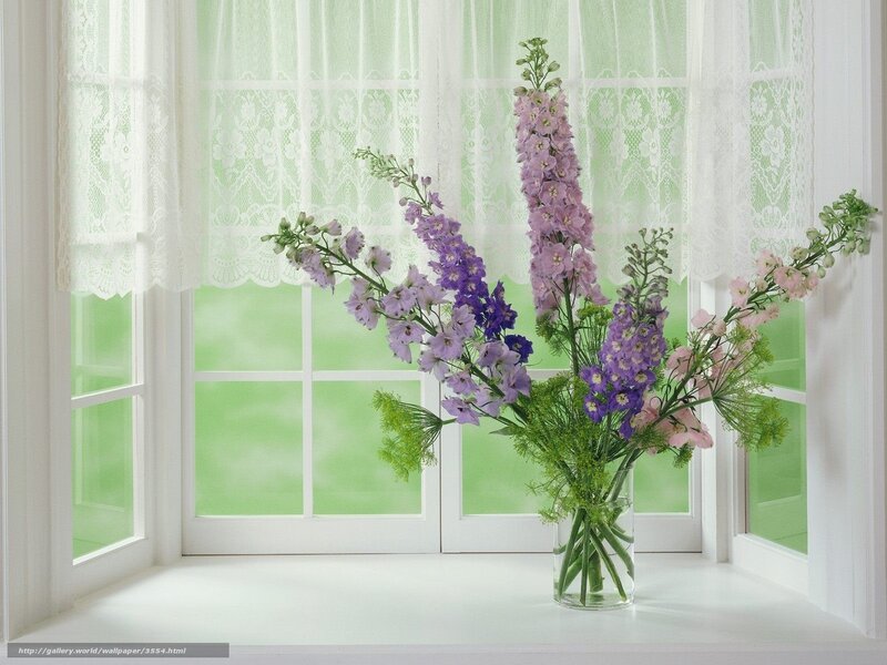 Flowers by a window