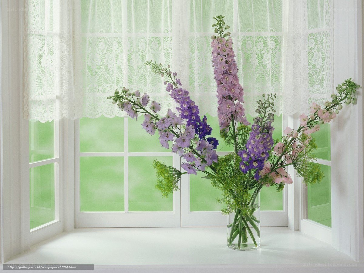 Flowers by a window