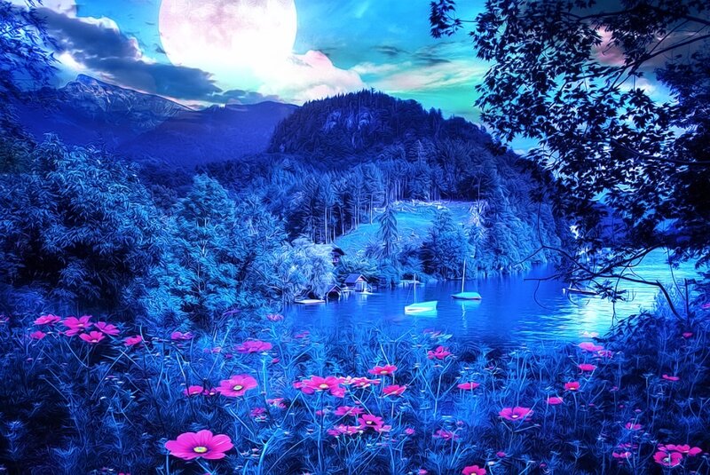 Flowers by Lake at Night